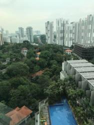The Rochester Residences (D5), Apartment #155518172